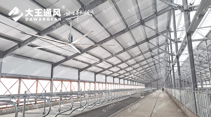 俄羅斯牛場工業(yè)大風扇